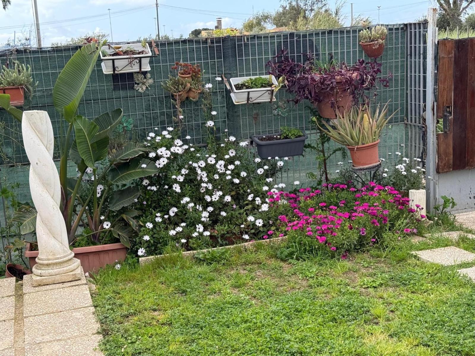 Flower House Civitavecchia Dış mekan fotoğraf